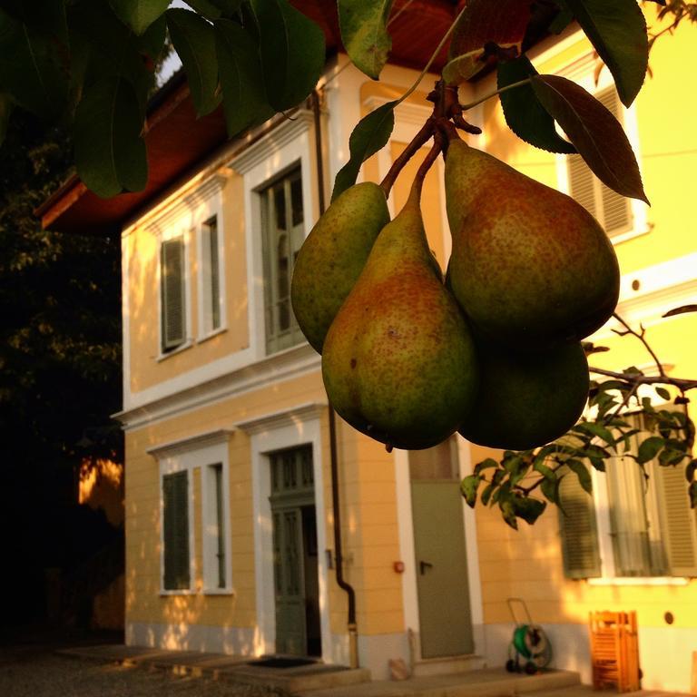 Albiano dʼIvrea Villa D'Azeglio المظهر الخارجي الصورة